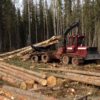 https://vertexpages.com/wp-content/uploads/2017/07/G-MacRitchie-Forestry-Services-Ltd-100x100.jpg