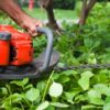 https://vertexpages.com/wp-content/uploads/2017/10/B-And-T-Lawn-Maintenance-And-Tree-Service-100x100.jpg