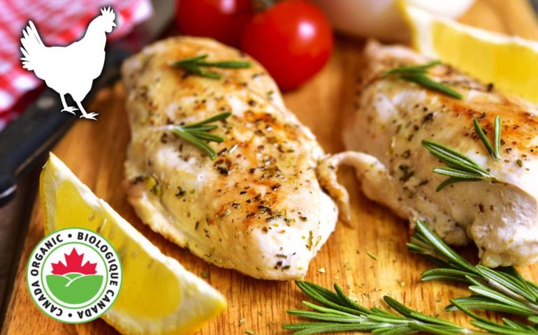 https://vertexpages.com/wp-content/uploads/2019/06/organic-chicken-free-range-gmo-free-ontario-770x480.jpg