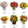 https://vertexpages.com/wp-content/uploads/2021/08/Dorothys-Flower-Shop-100x100.jpg