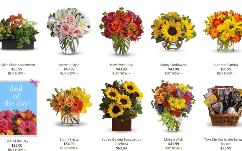 https://vertexpages.com/wp-content/uploads/2021/08/Dorothys-Flower-Shop-770x480.jpg