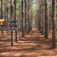 https://vertexpages.com/wp-content/uploads/2026/07/Planting-After-Forestry-Mulching-80x80.png
